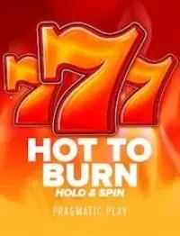 hot to burn game logo